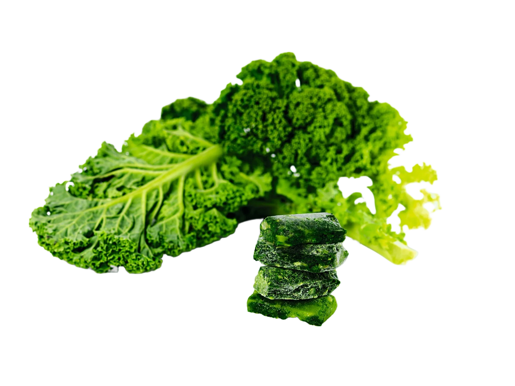 Grönkål