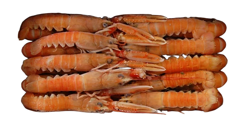 MSC.Norway Lobster  8-12/kg.  6x100