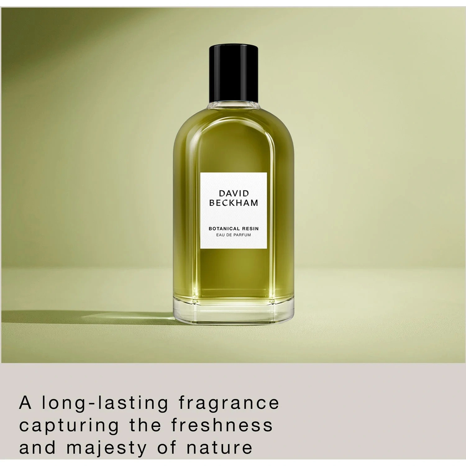 David Beckham Botanical Resin EdP 100 ml