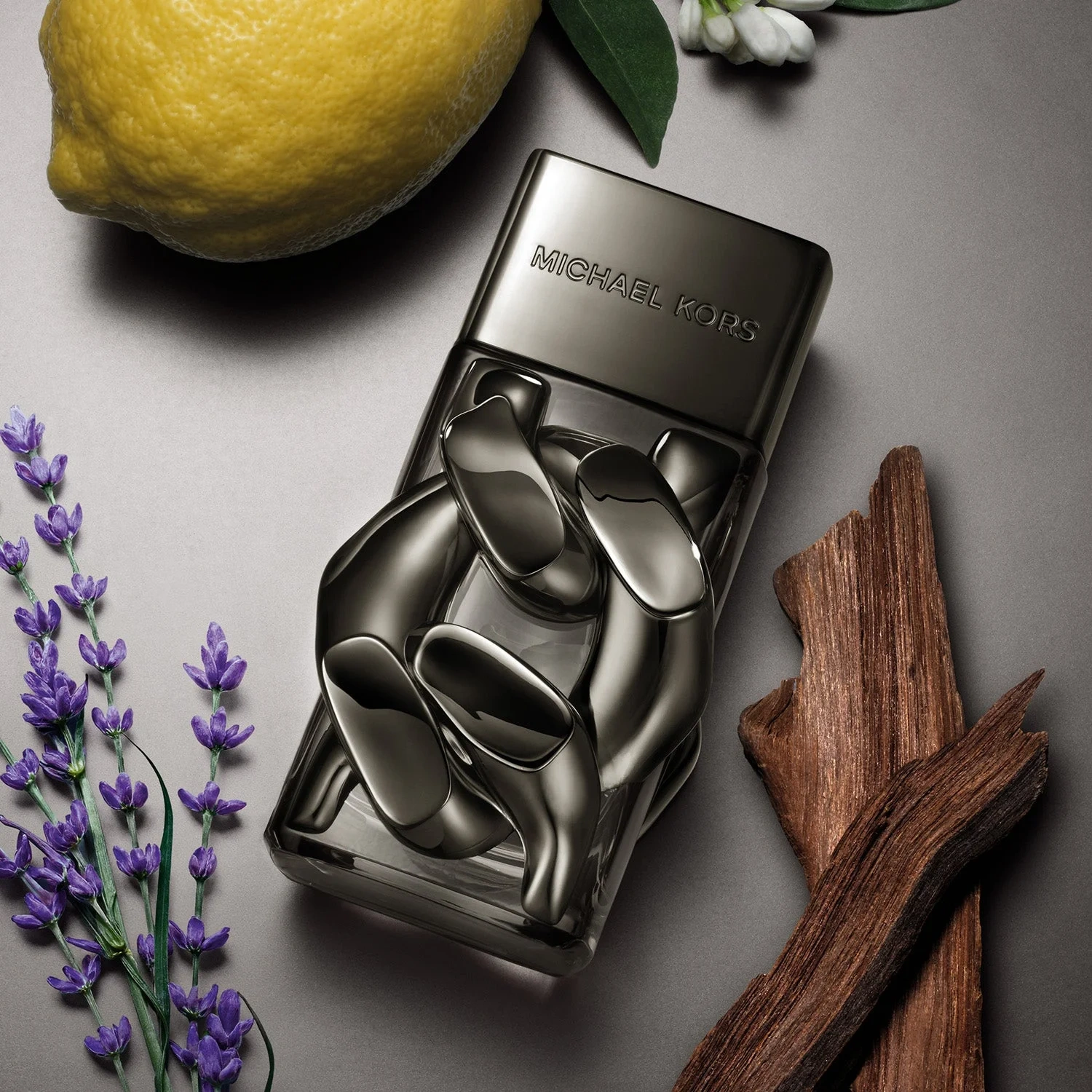 Michael Kors Pour Homme Absolu