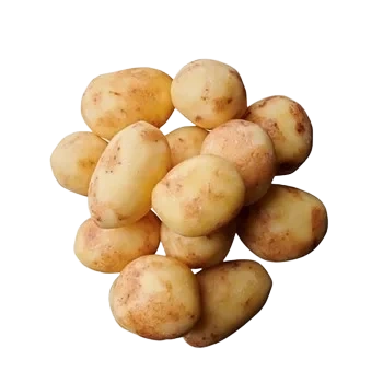 Roots by 3N Potatis Barske 32-45 vac svensk