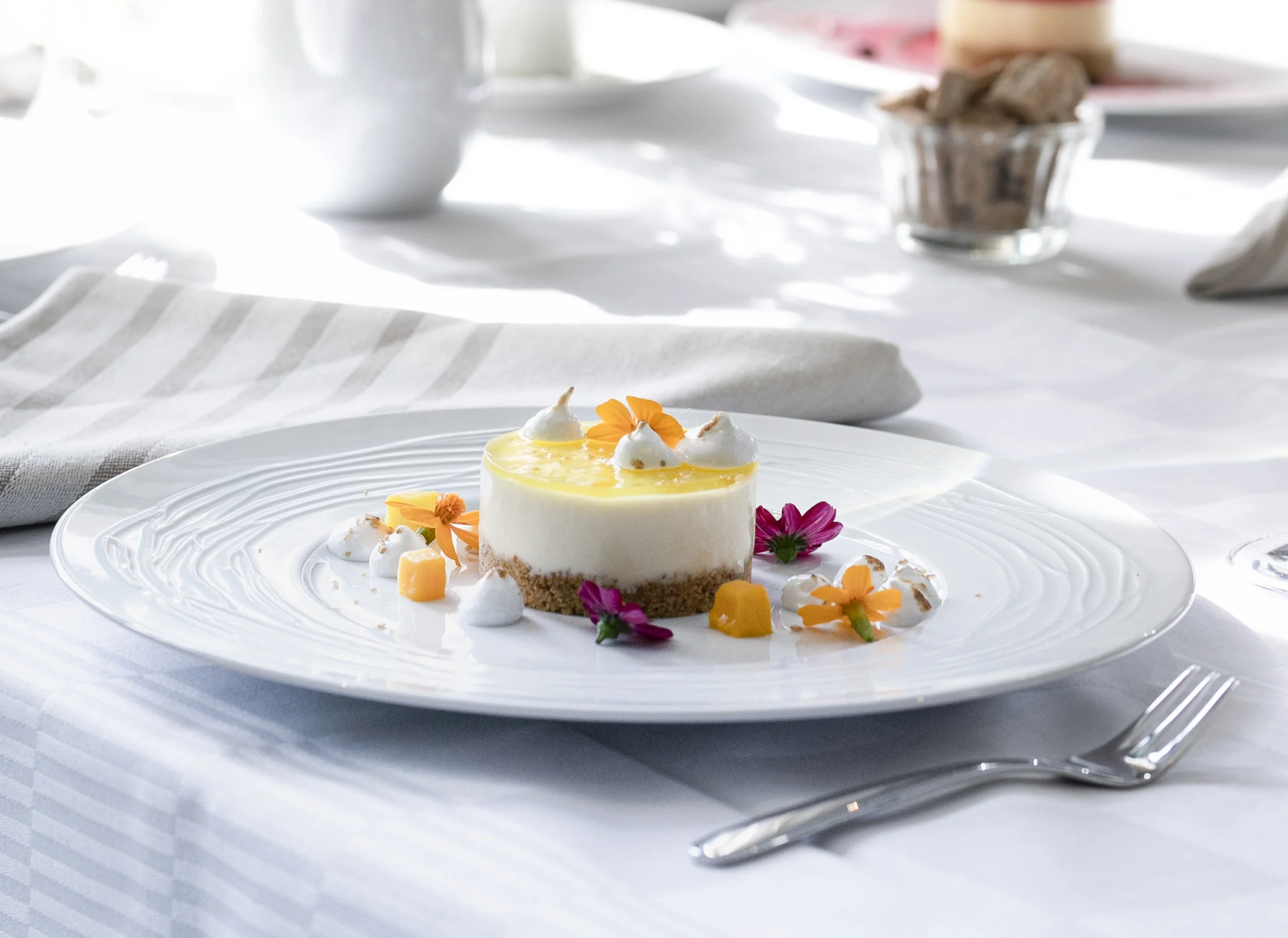 Delicato Cheesecake Citron