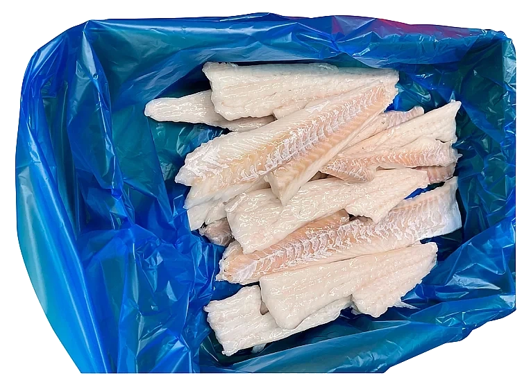 Torskefilet premium uten loin, iqf-fryst 10xca1kg  kg