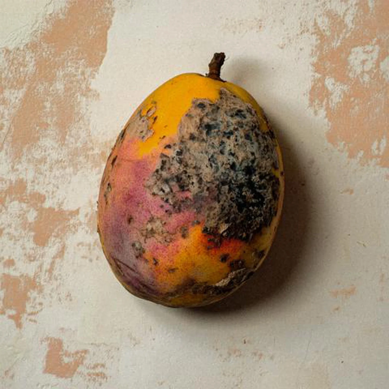 BORNTOSTANDOUT Black Mango Extrait Extrême