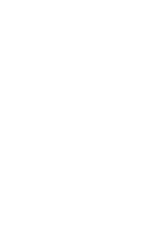 Duni Tallrik papper
