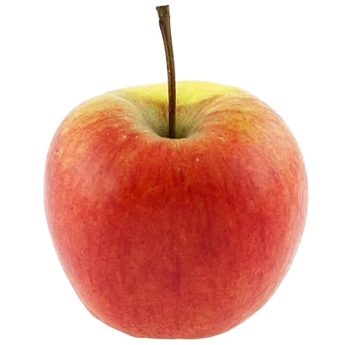 Äpple Saga Klass 1