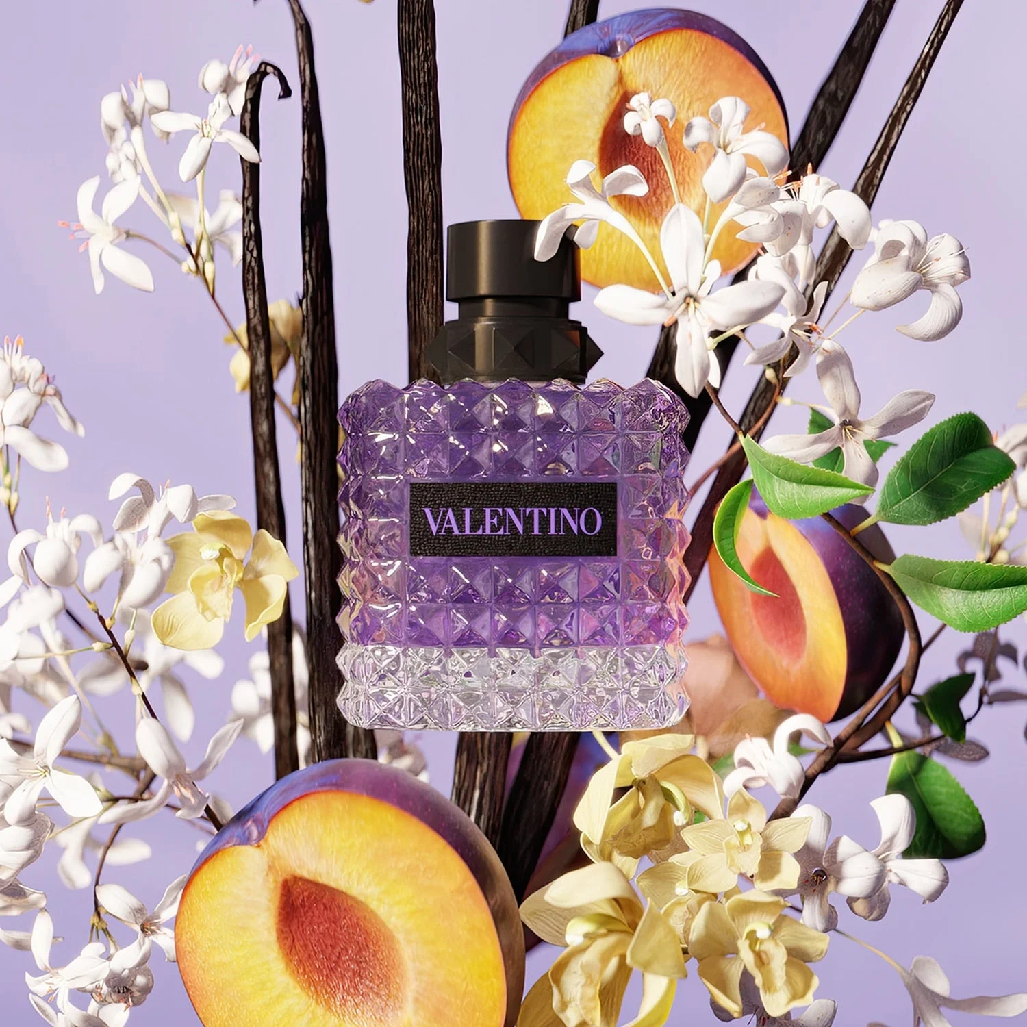 Valentino Born in Roma Purple Melancholia