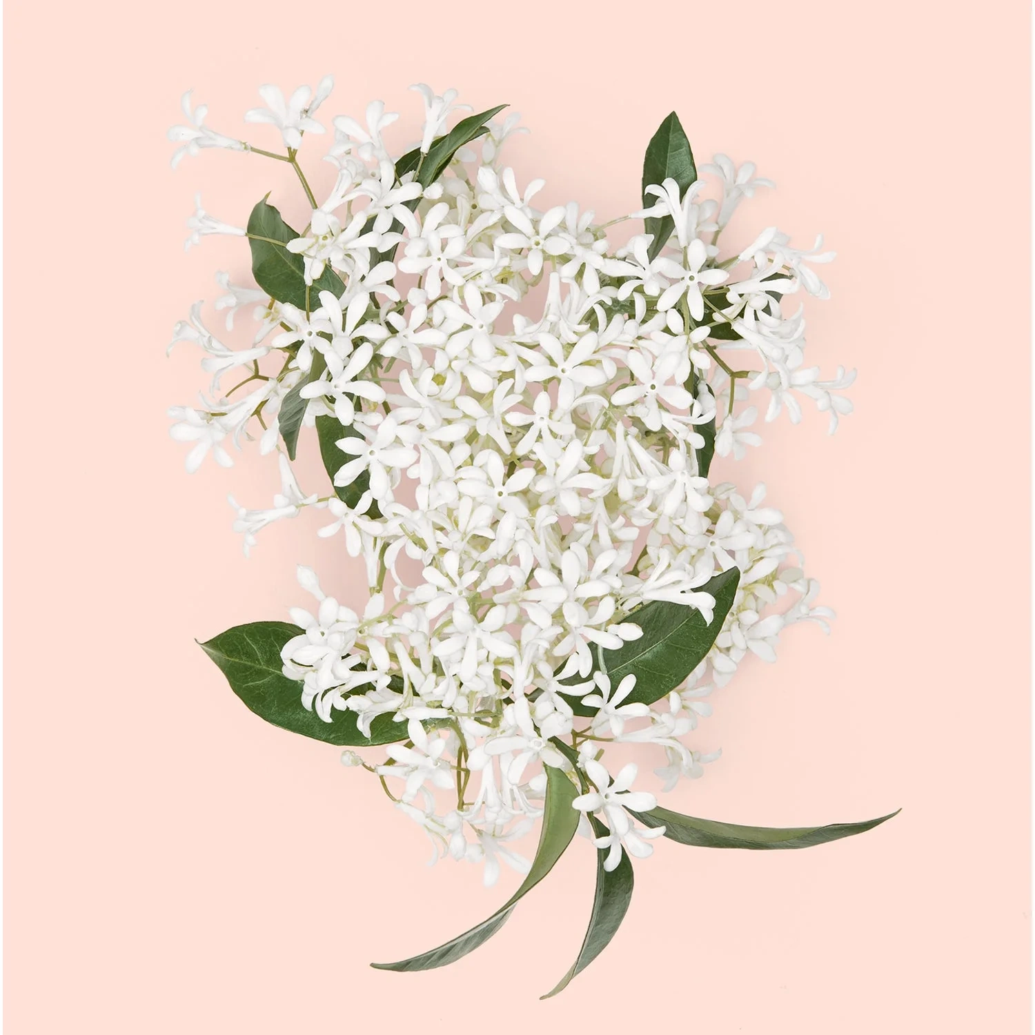 Gucci Bloom Eau de Parfum Intense 50 ml