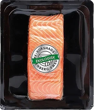 Färsk laxfilé