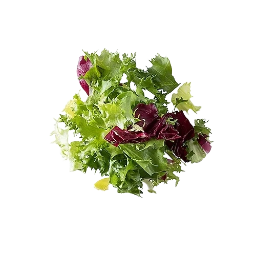 Friséemix 31111 500g