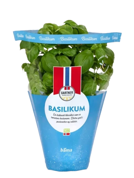 Basilikum 9cm Potte Gartner