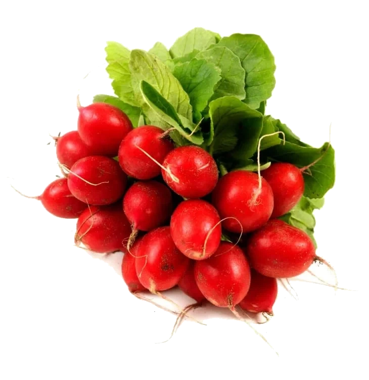 Reddik i Bunt