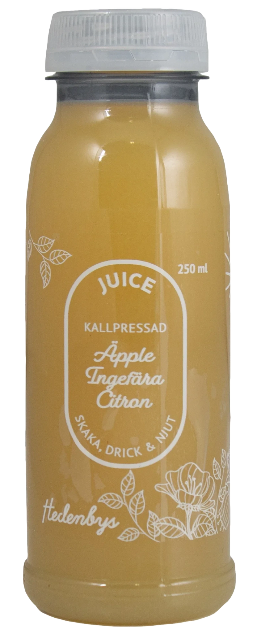 Äpple ingefära citron juice
