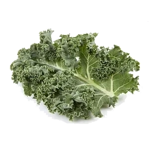Grønnkål økol.   200g
