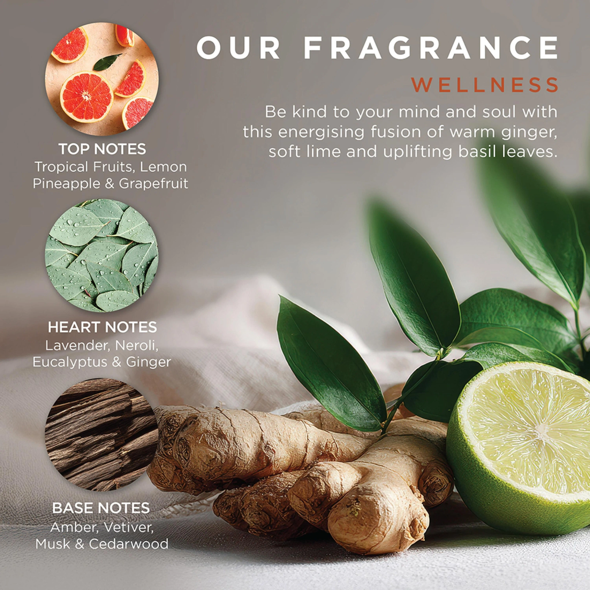 Baylis & Harding Wellness Take A Moment Gift Set, 1 sett
