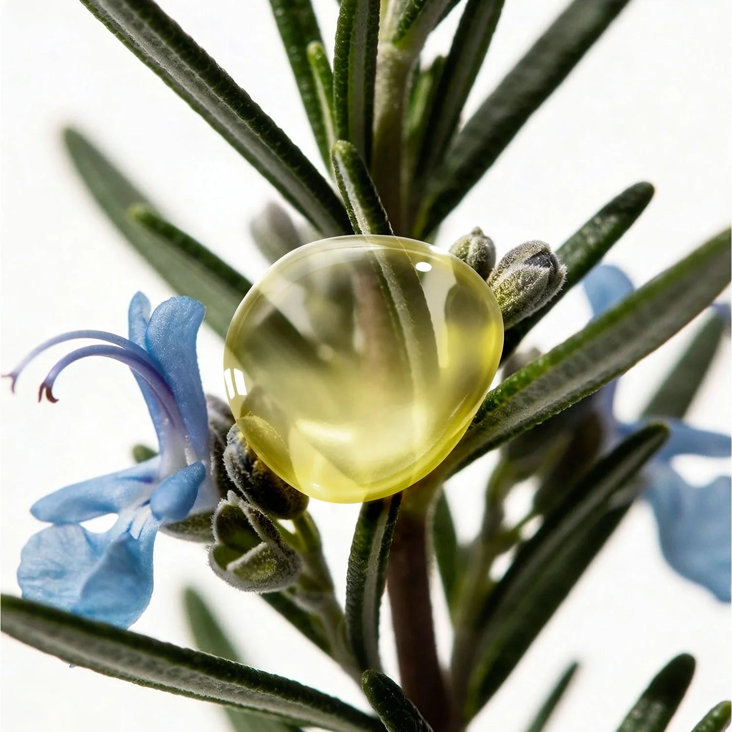 Decléor Aromessence Rosemary Officinalis Bottle Dropper