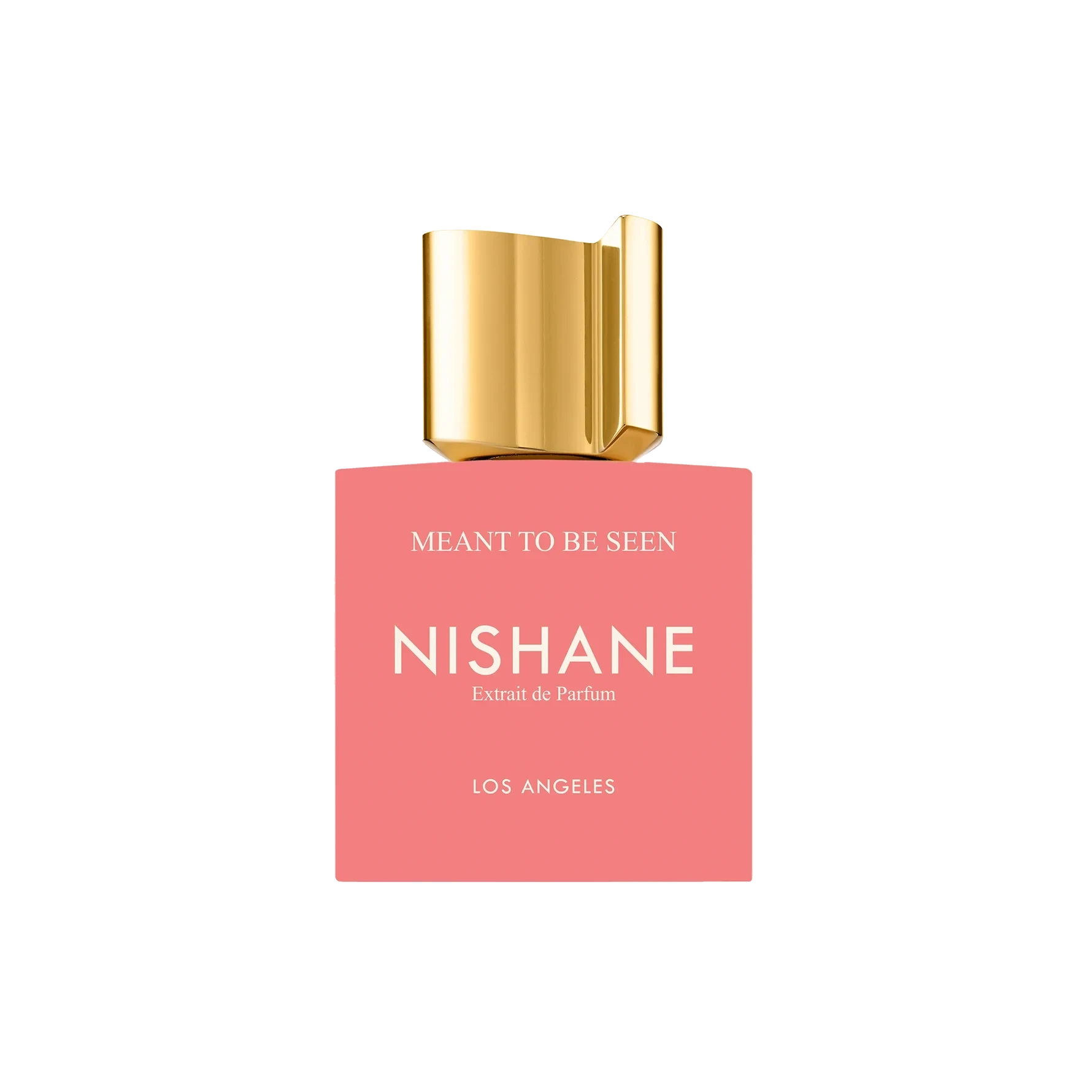 NISHANE Meant To Be Seen 50 ml