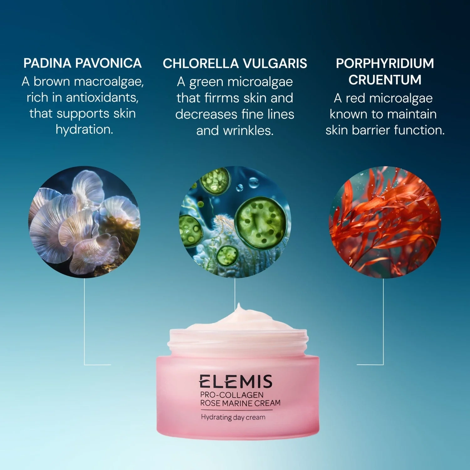 Elemis Pro-Collagen Rose Marine Cream