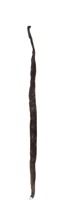 Vaniljstång Bourbon Vanilla