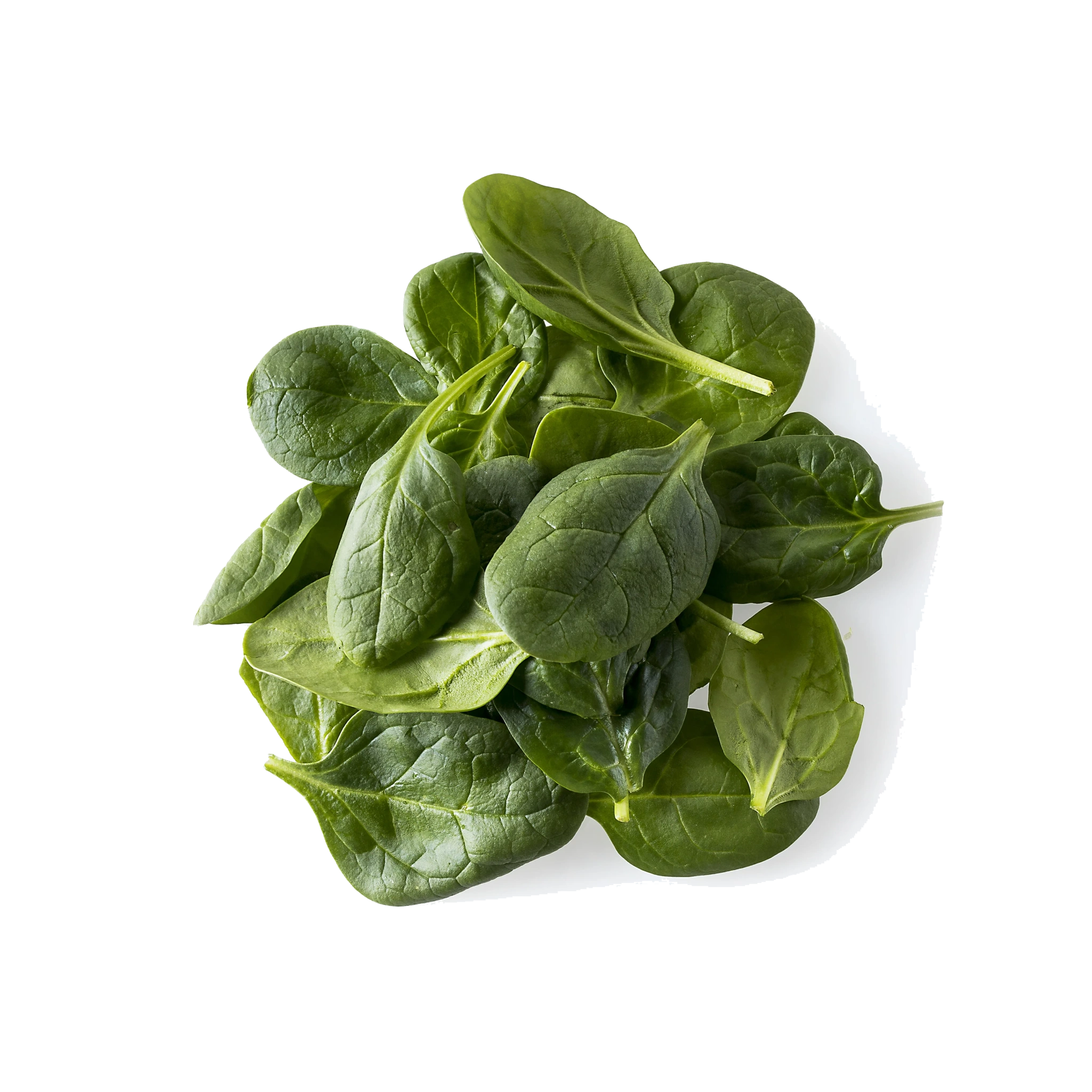 Babyspenat Tvättad 500g