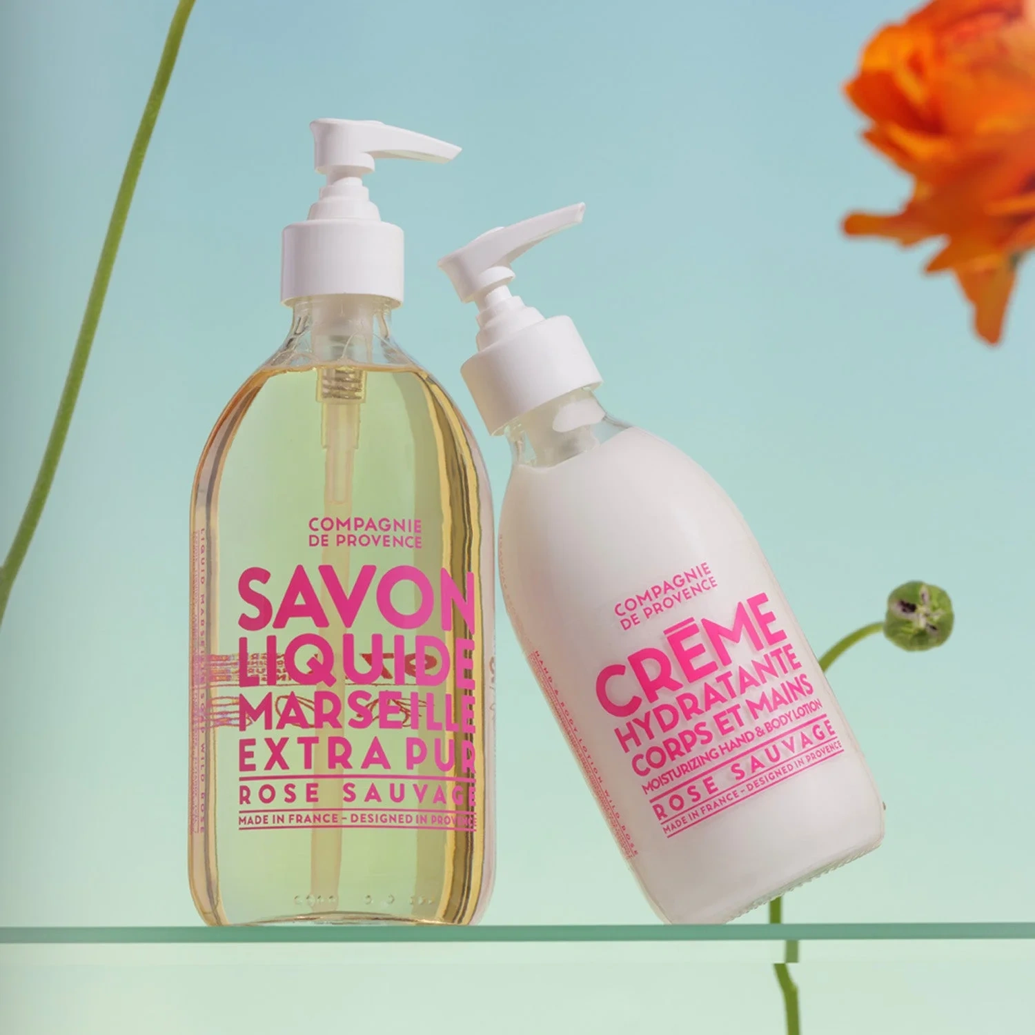 Compagnie de Provence Moisturizing Hand & Body Lotion
