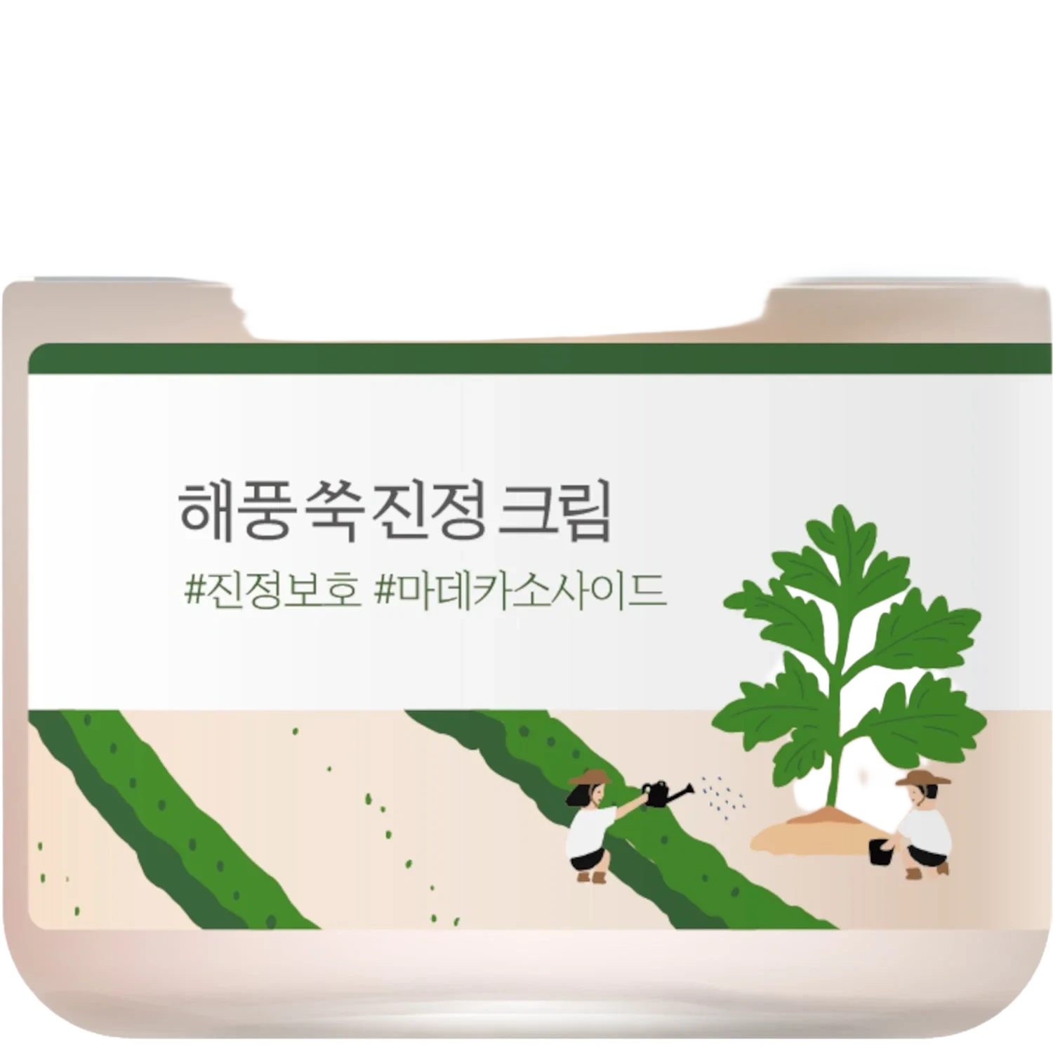 Round Lab Mugwort Calming Cream