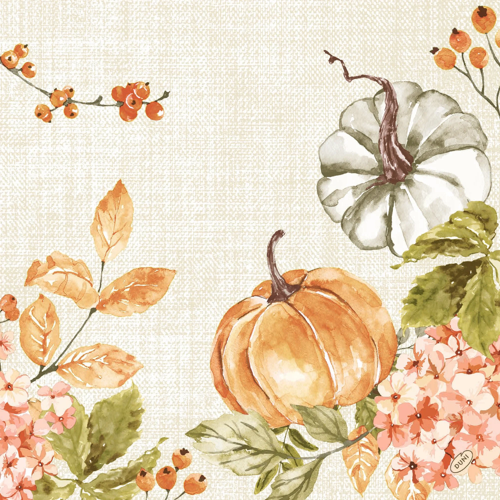 Serviett Biodunisoft 40cm Spicy Pumpkin