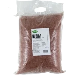 Nudlar rostade