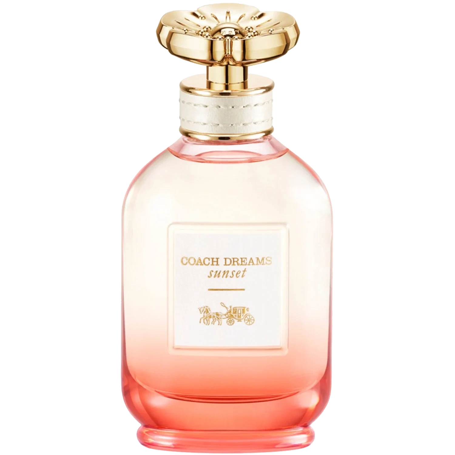 COACH Dreams Sunset