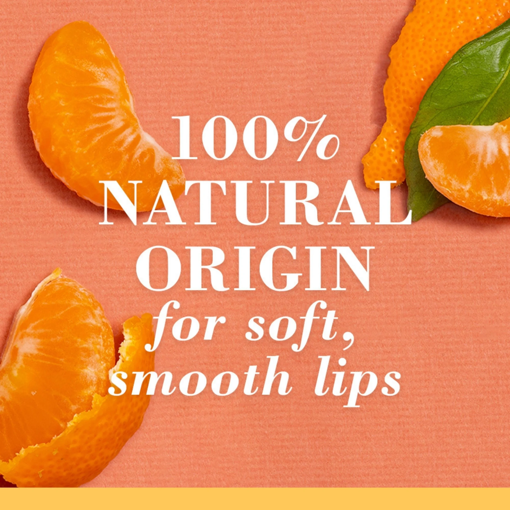 Burt's Bees Lip Balm Freshly Picked, 4 x 4,25 g