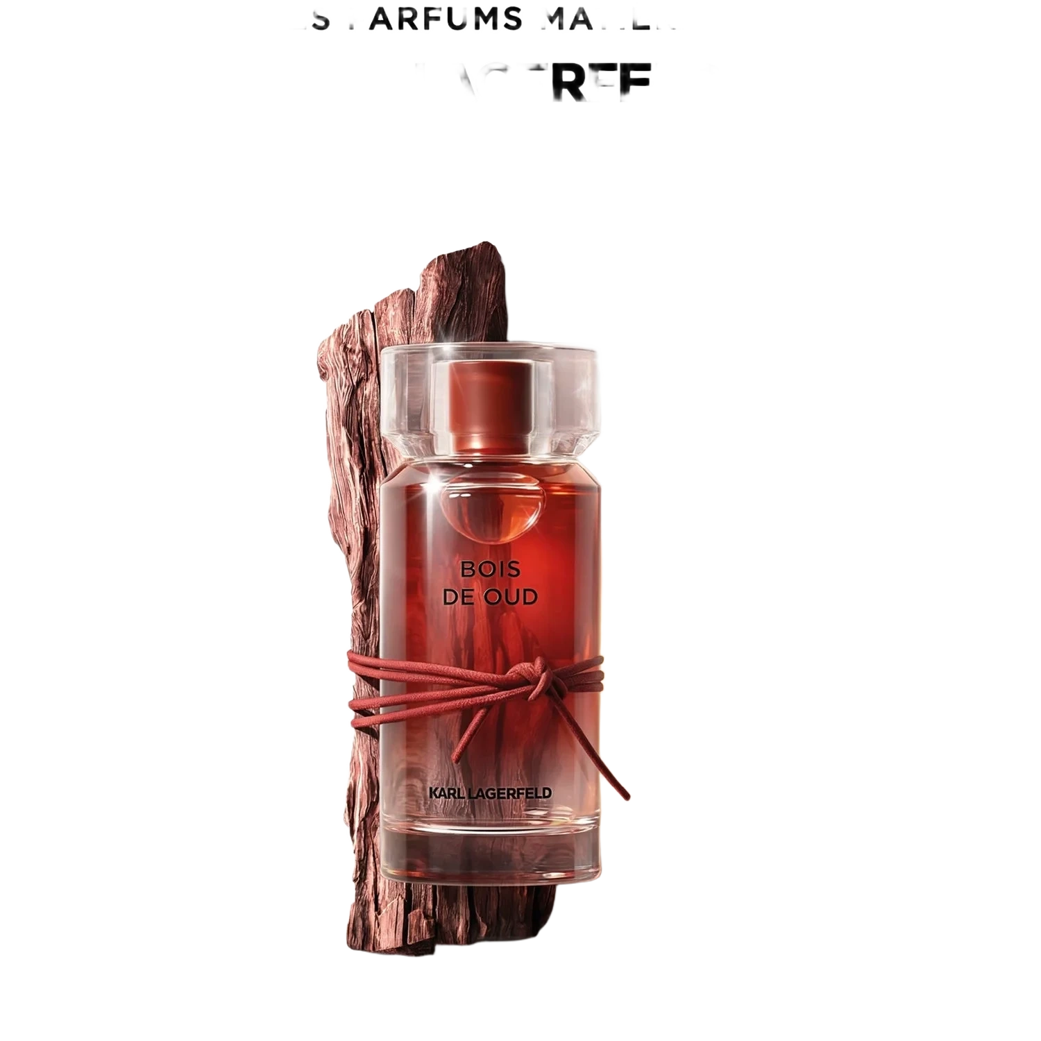 Karl Lagerfeld Les Parfums Matières Bois de Oud