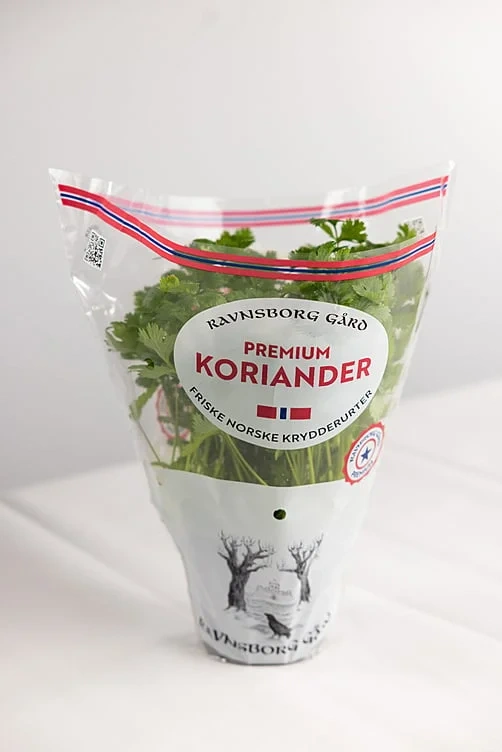 Koriander  ø14cm premium   potte