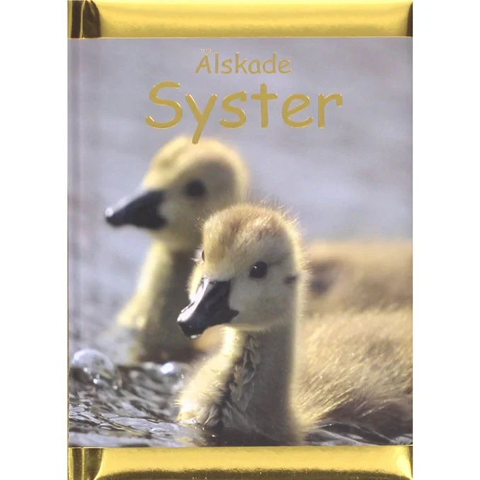 Bok: Älskade Syster
