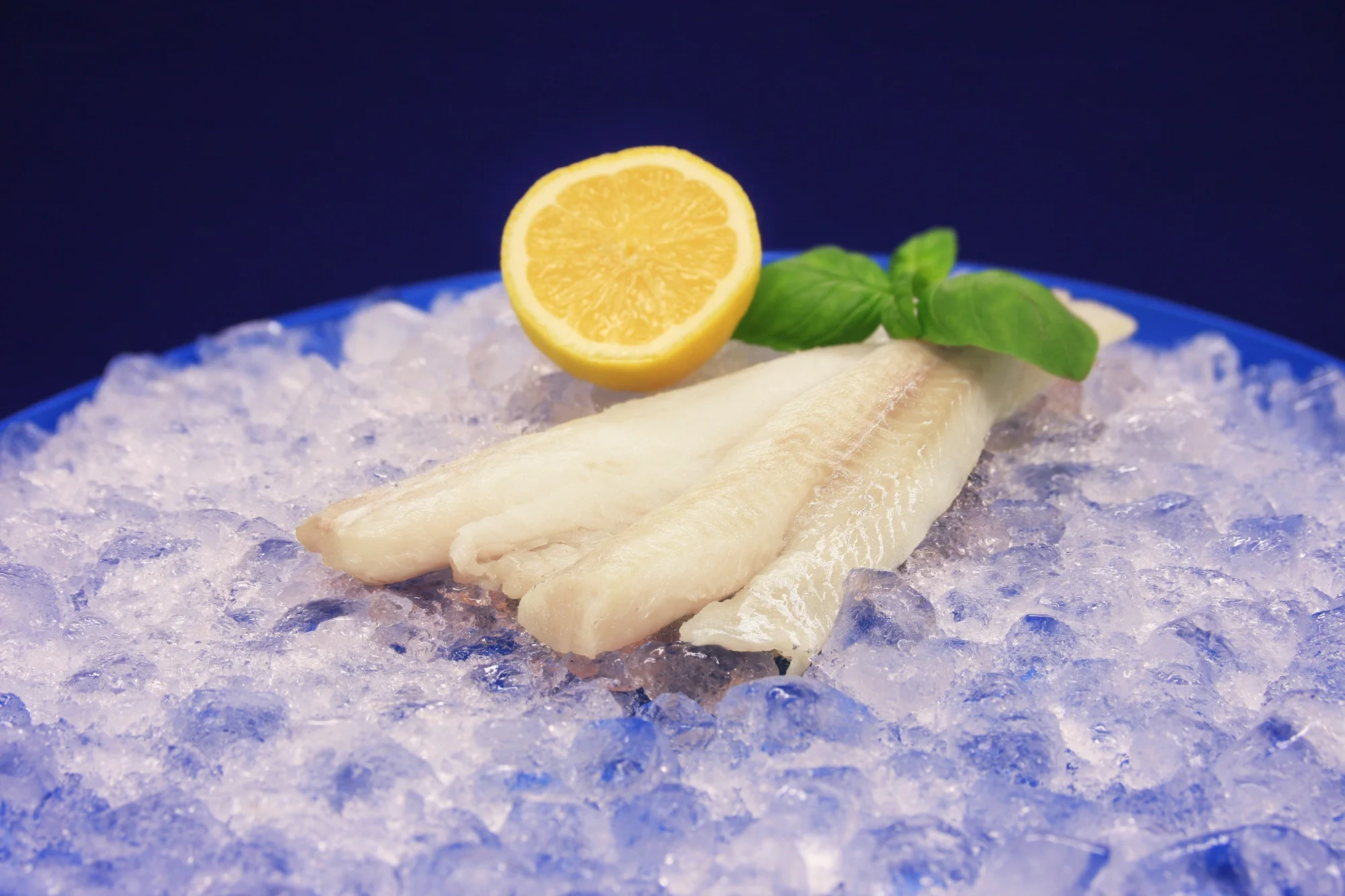 Alaska Pollock filé MSC
