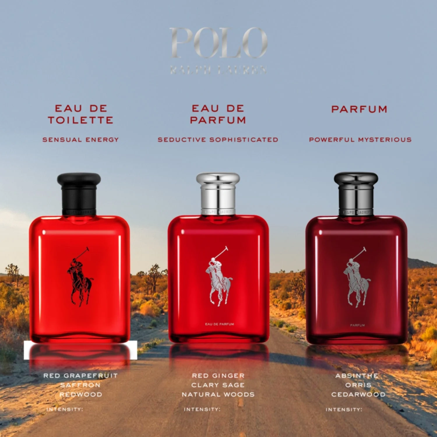Ralph Lauren Polo Red