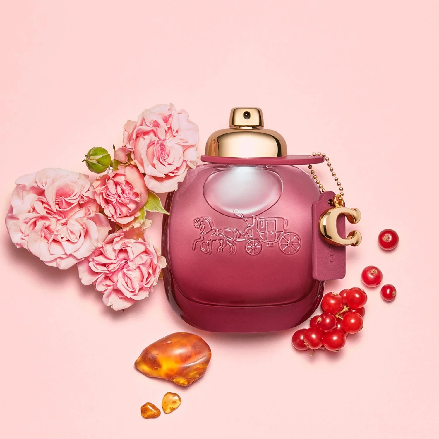 Coach Wild Rose Eau de Parfum 30 ml
