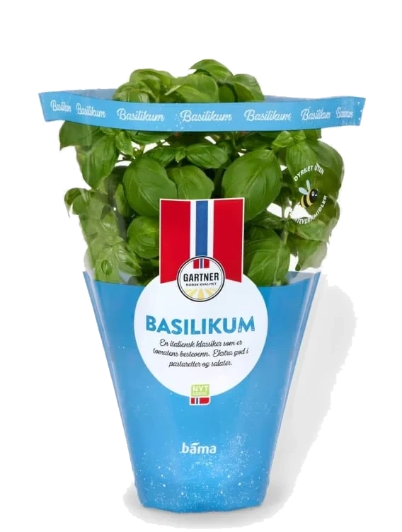 Basilikum 9cm Potte Gartner