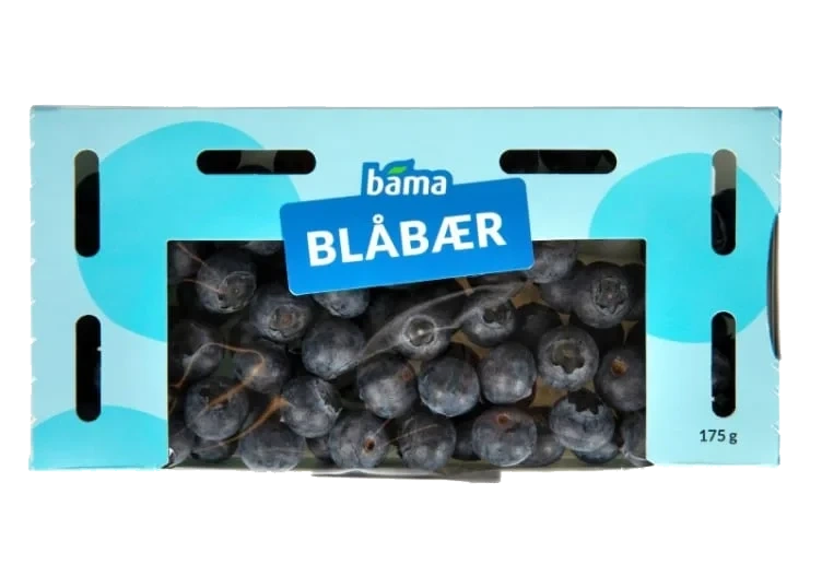 Blåbær Shaker 175g Cevita