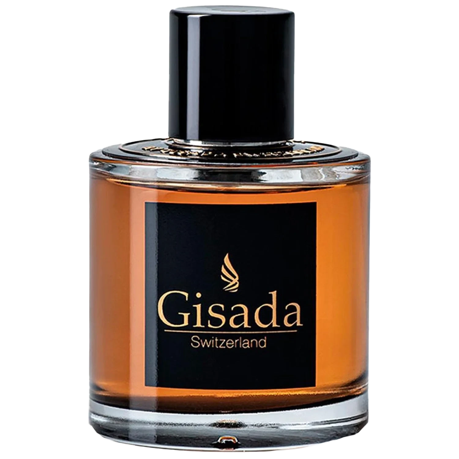 Gisada Ambassador Men Eau de Parfum 100 ml