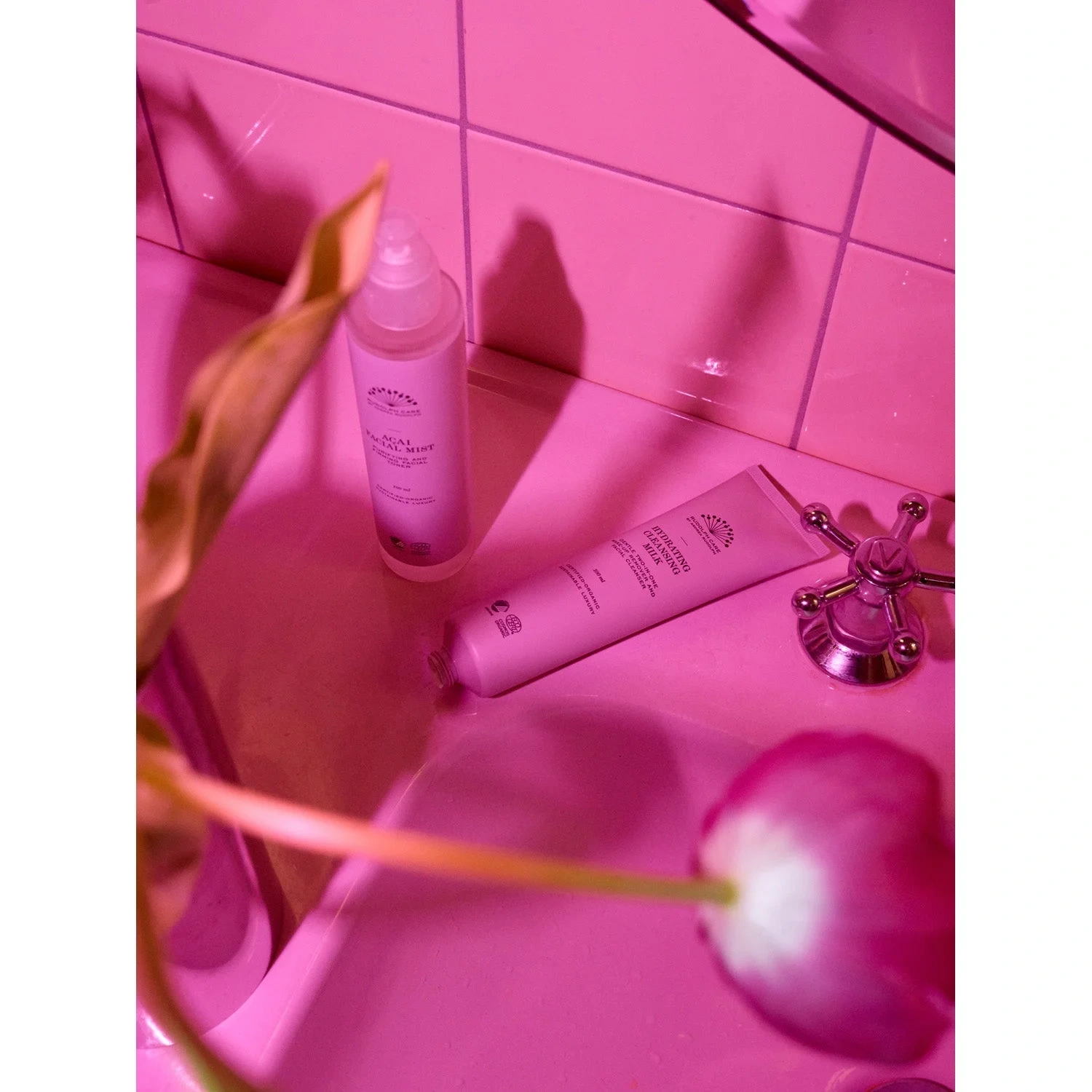 Rudolph Care Acai Facial Mist