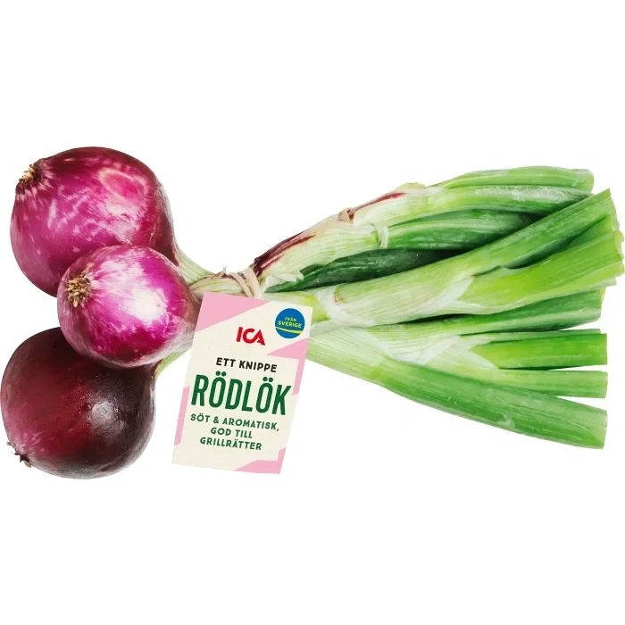 Lök röd knippe Klass 1