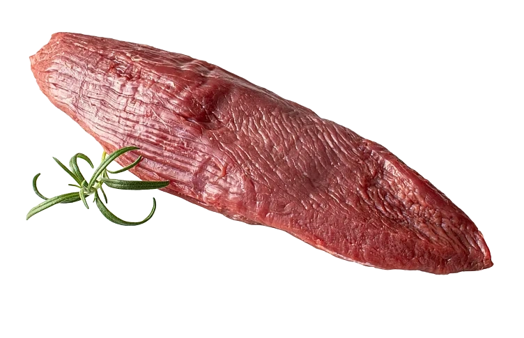 Ungfe Teres Major