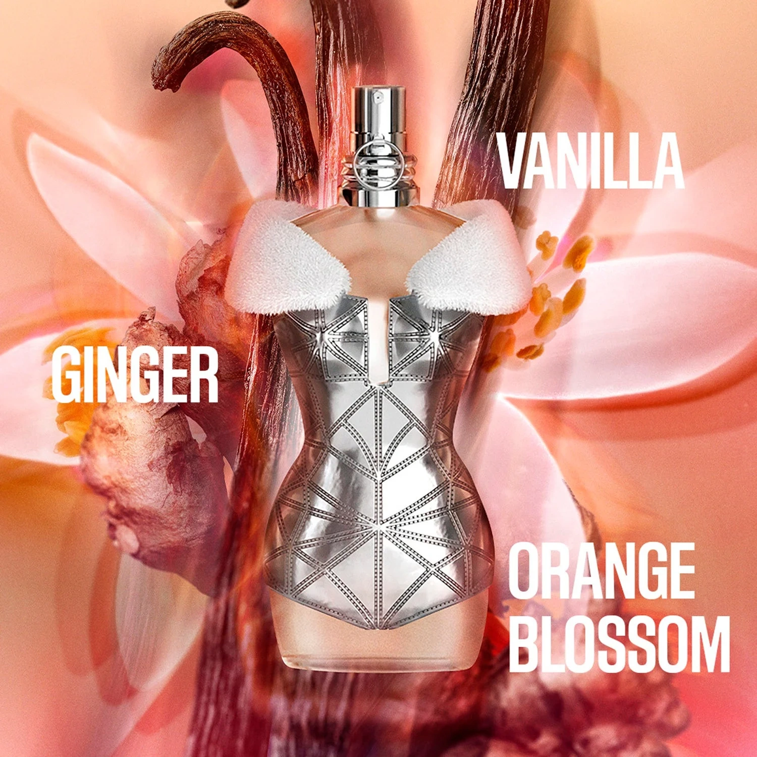 JEAN PAUL GAULTIER Classique Xmas