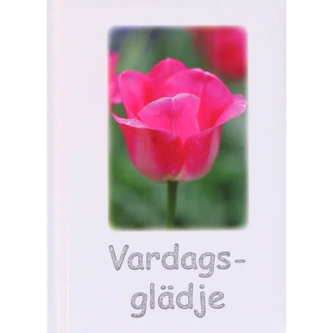 Bok: Vardagsglädje