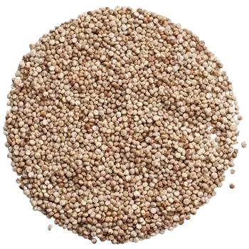 Quinoa Vikinga, helt frö KRAV