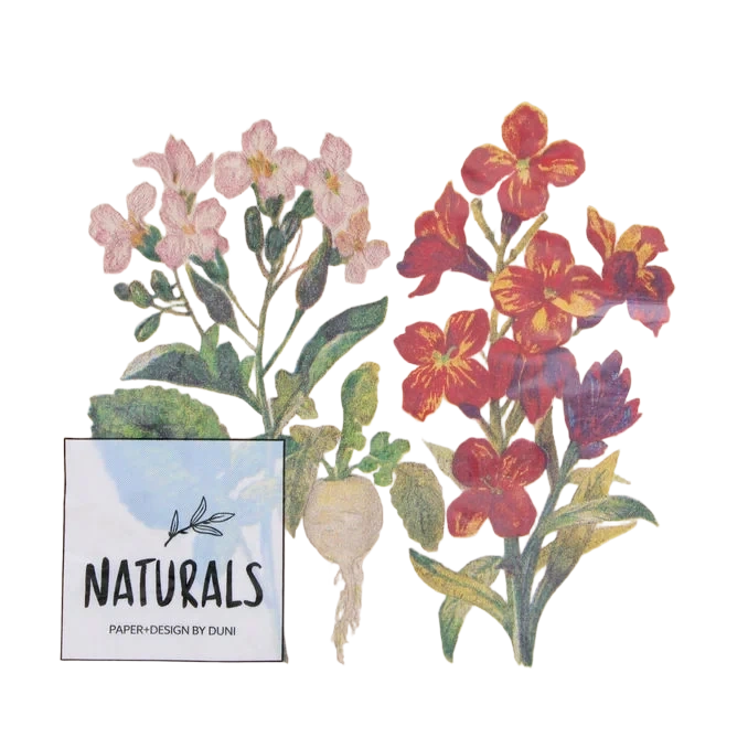 Servetter Botaniska Blommor 25-pack