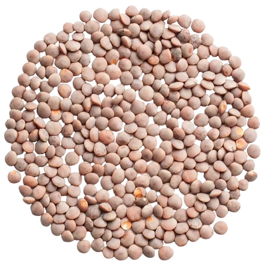 Nordisk Råvara Korallins Rosana