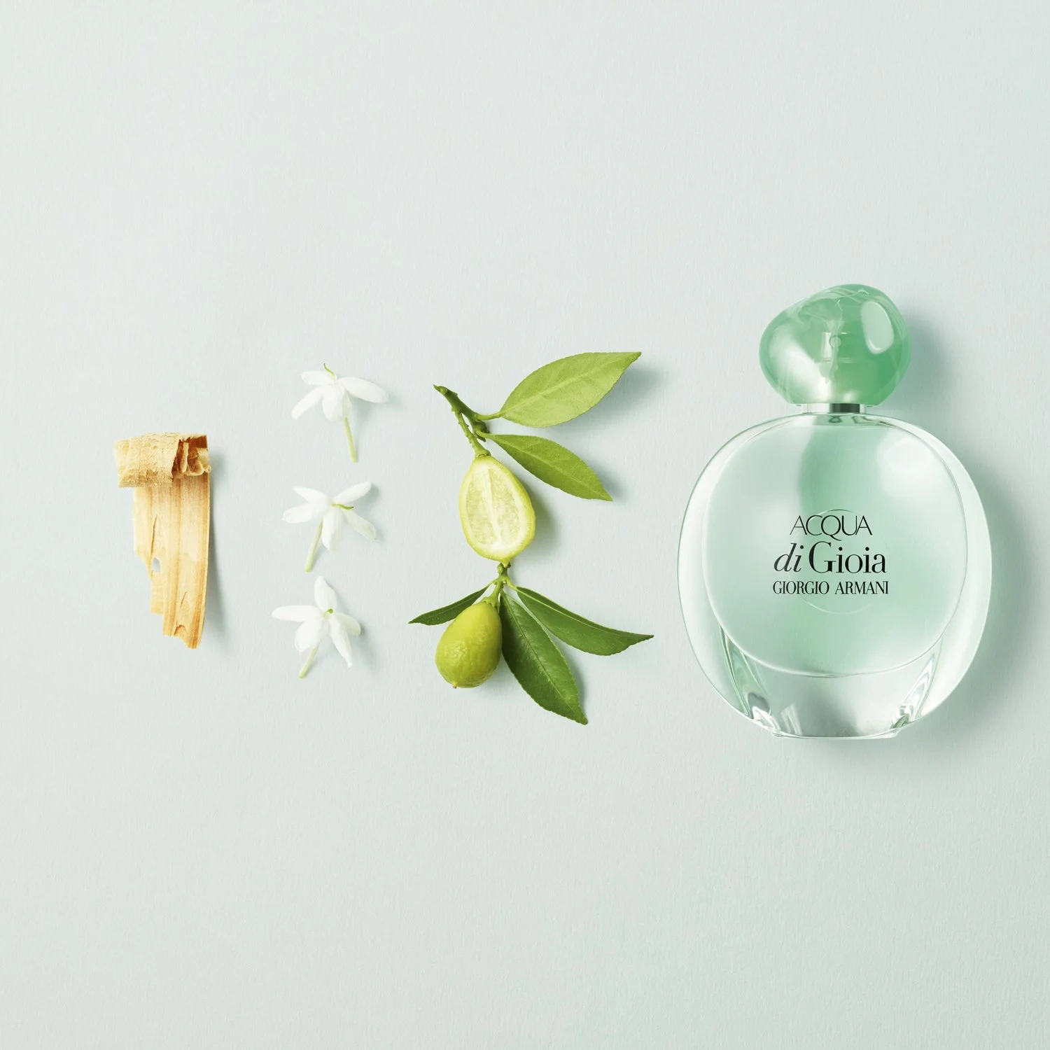 Armani Acqua di Gioia