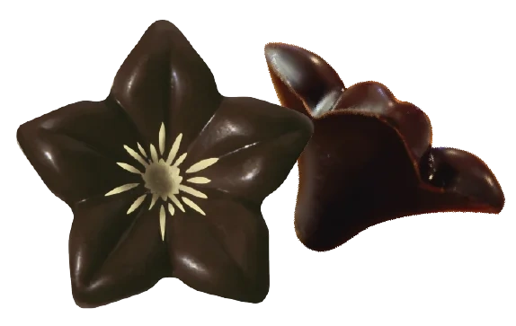 Mörk Chokladblomma