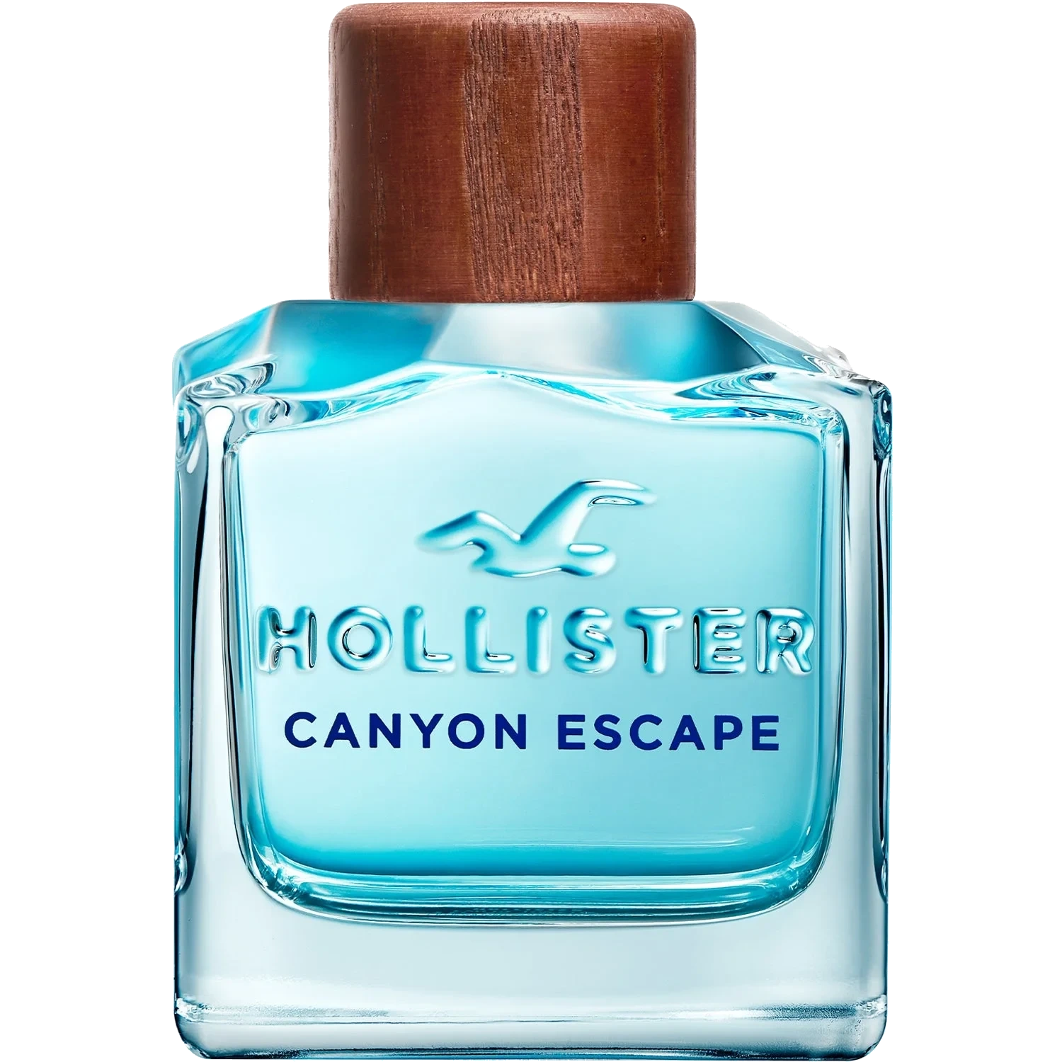 Hollister Canyon Escape For Him